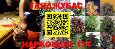 шишки Иваново