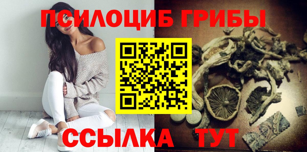 купить наркоту  Вход с VPN  Отрадный  Псилоцибиновые грибы MAGIC MUSHROOMS 